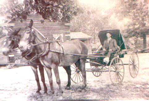 c. 1900 - Lee Thomas Smith (age 22) with Mules and Buggy at Goodwill Post Office / Store in Gum Log, GA.((http://www.genealogy.com/ftm/b/r/u/Jack-R-Bruce/PHOTO/0073photo.html))