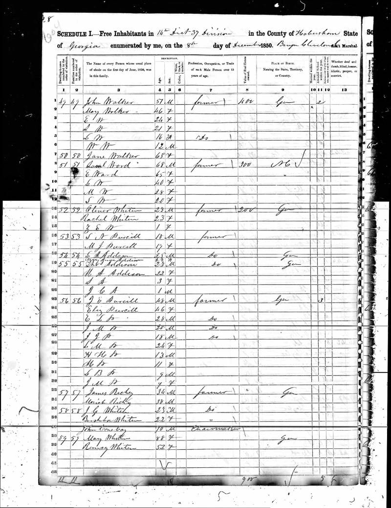 1850 U.S. Census. Oliver Whiten's family begins on line 13.