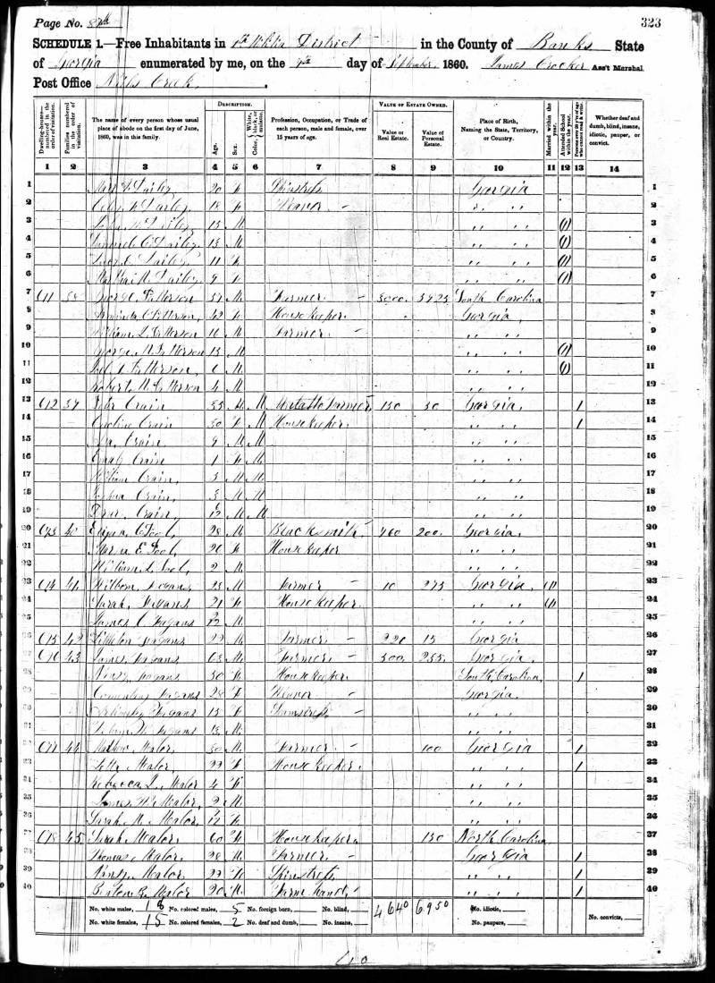 1860 U.S. Census. Mathew Mealer's family begins on line 32. His mother and siblings begin on line 37.
