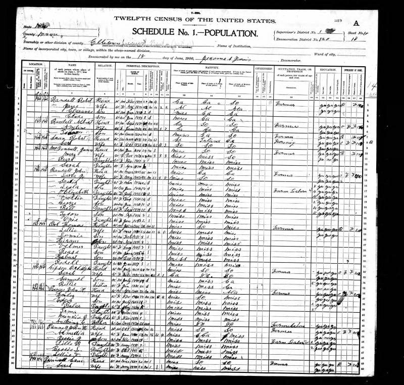 1900 U.S. Census. Albert Randall's family begins on line 5. (His son, John Randle and his family begin on line 14)