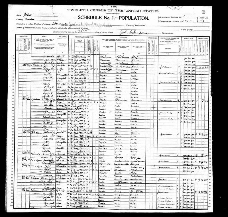 1900 U.S. Census. Newton Jasper Chunn's family begins on line 95.
