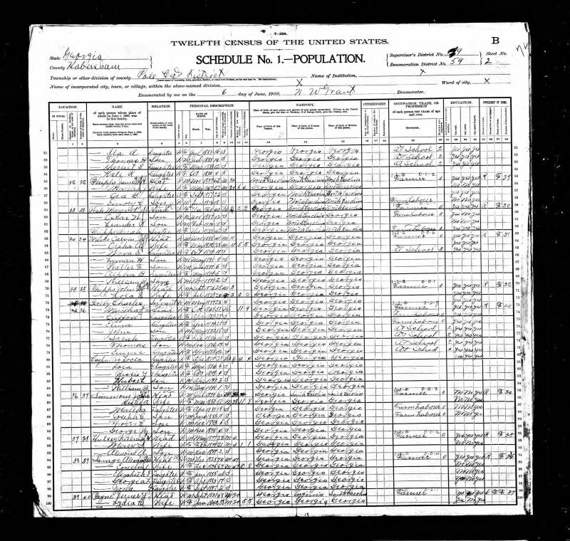 1900 U.S. Census. John Simmon's family begins on line 85.