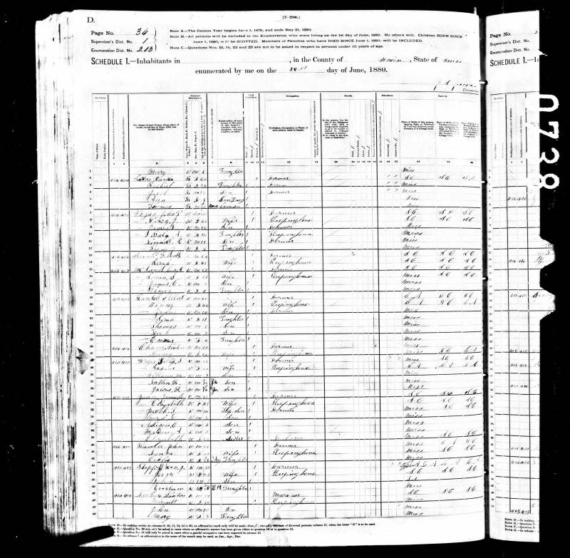 1880 U.S. Census. Newton Jasper Chunn's family continues on line 26. Notice that the family immediate before Newton Jasper Chunn is that of his Father-in-law, Albert Randle, beginning on line 19.
