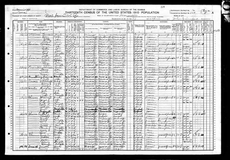 1910 U.S. Census. Newton Jasper Chunn's family begins on line 35.