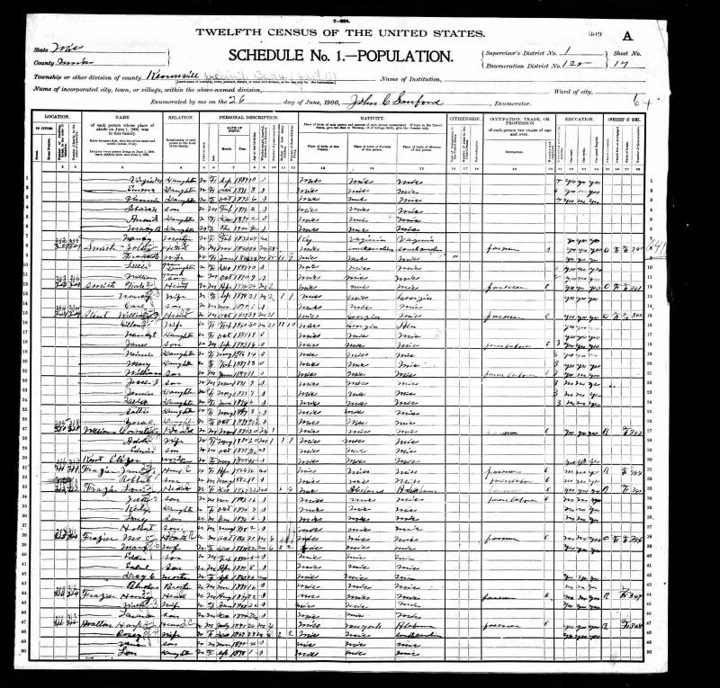 1900 U.S. Census. Newton Jasper Chunn's family continues on line 1.